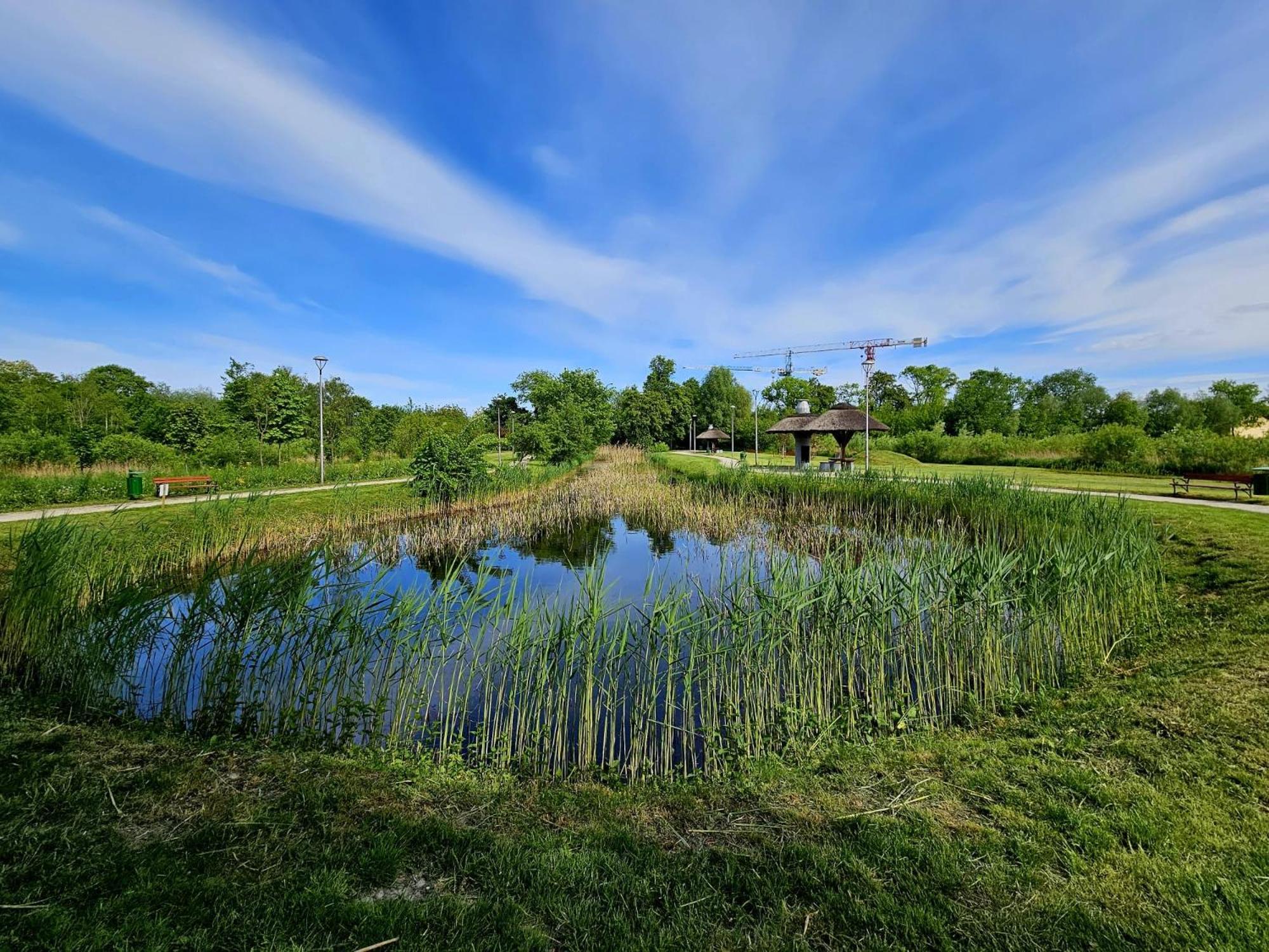 Countryside Studio Borzecin Duzy Eksteriør billede